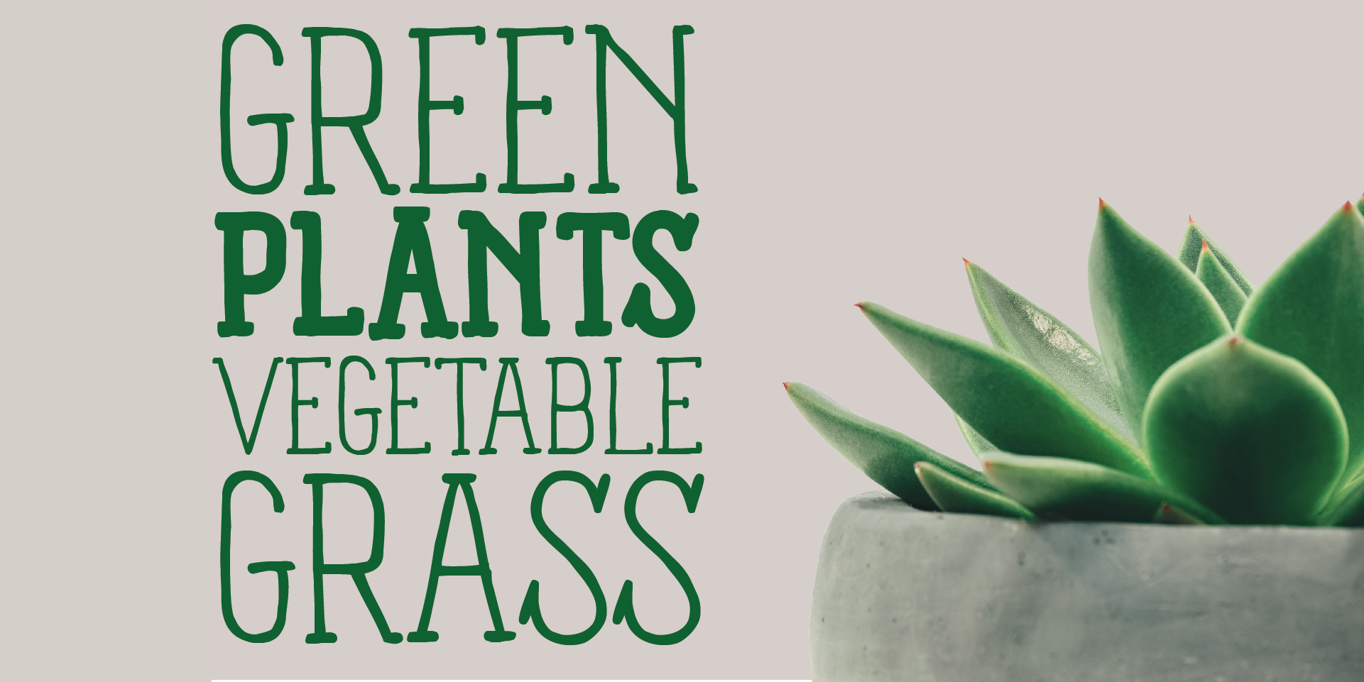 Panforte Serif grass